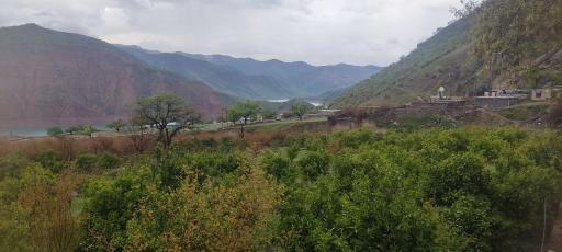 عکس بزرگ شیوند