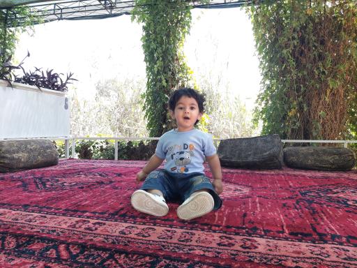 رستوران پردیس سلمان