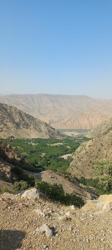 عکس بزرگ شیوند