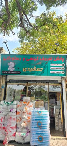 ظروف گیاهی و رستورانی جمشیدی