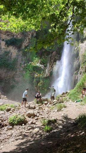 عکس بزرگ شیوند