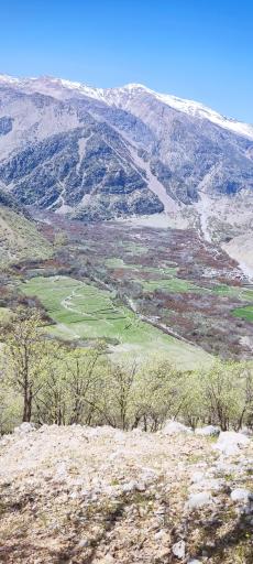 عکس بزرگ شیوند