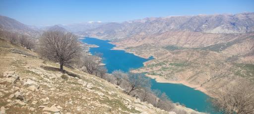 عکس بزرگ شیوند