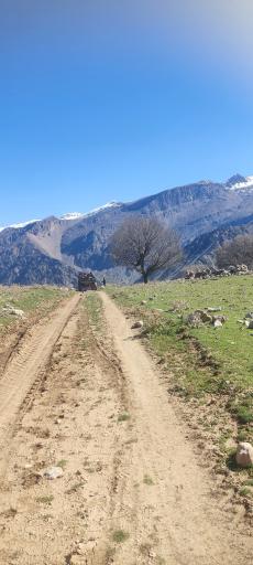 عکس بزرگ شیوند