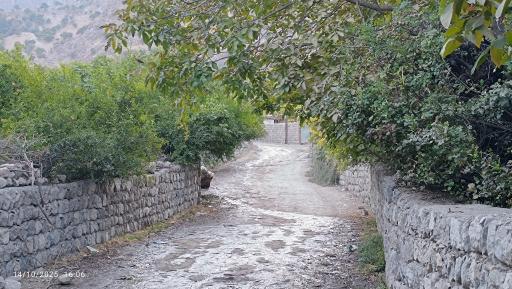 عکس بزرگ شیوند