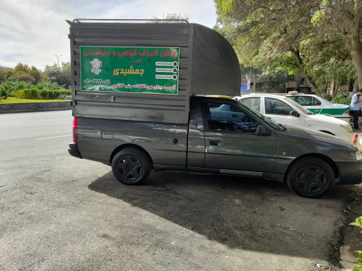 عکس ظروف گیاهی و رستورانی جمشیدی