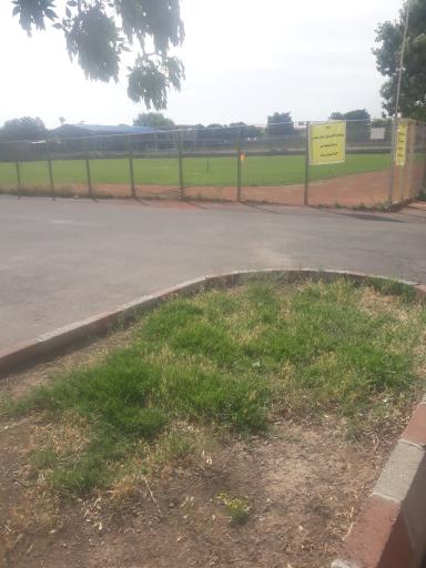 عکس ورزشگاه تختی