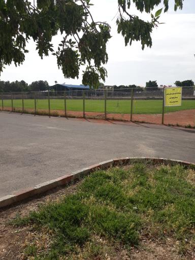 عکس ورزشگاه تختی