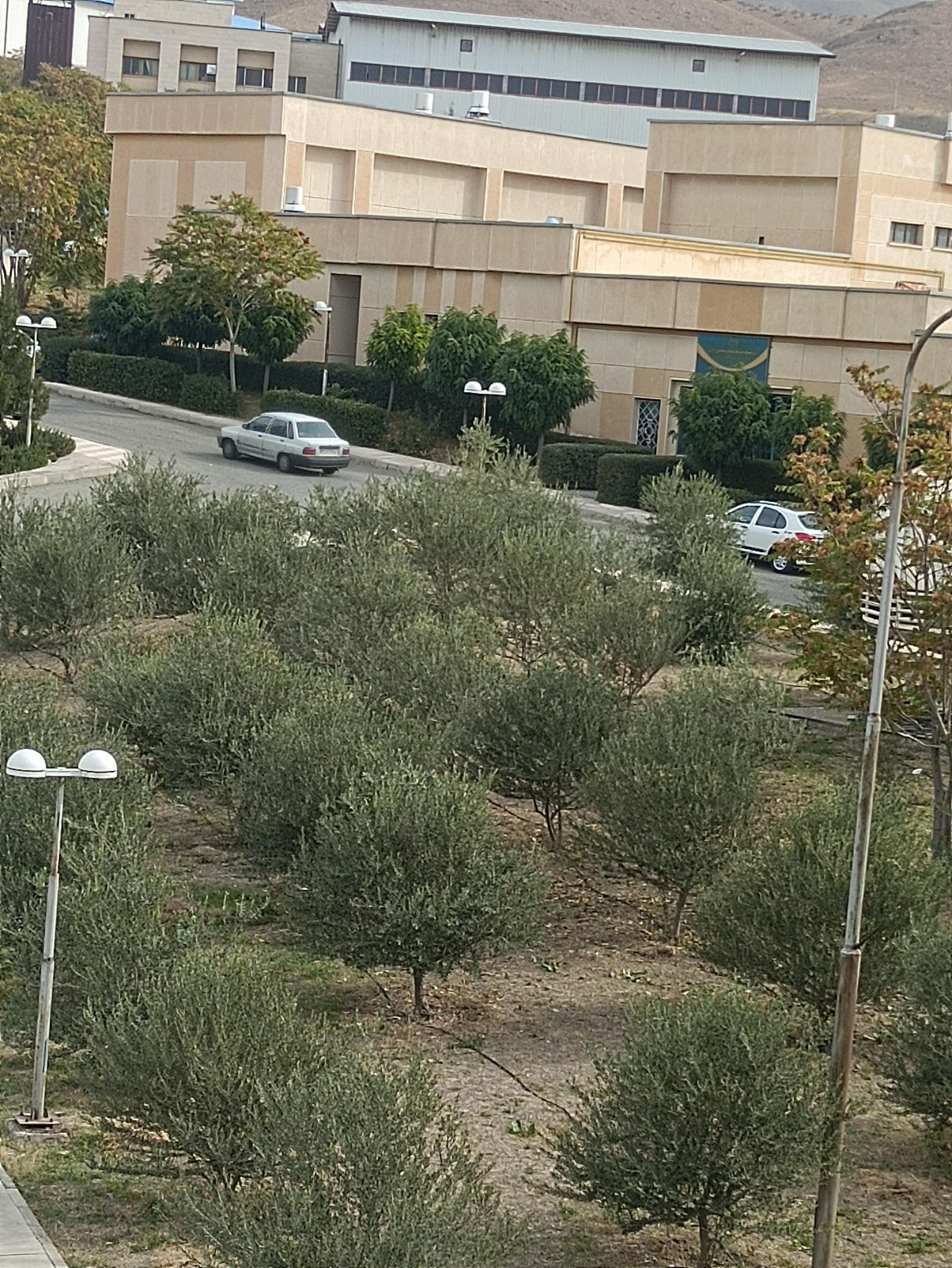 عکس پژوهشکده توسعه صنایع شیمایی ایران