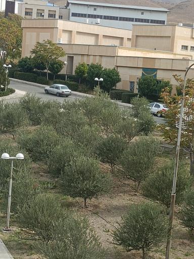 عکس پژوهشکده توسعه صنایع شیمایی ایران