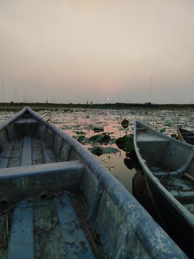 عکس تالاب نیلوفر رودبست