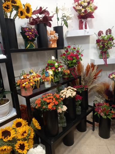 عکس گل فروشی مهشید