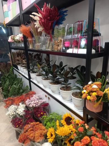 عکس گل فروشی مهشید