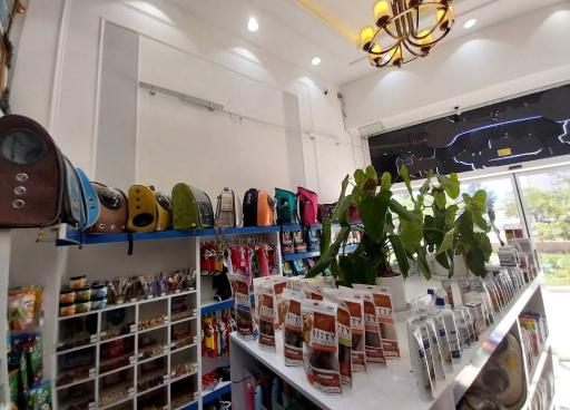 عکس بلو پت شاپ