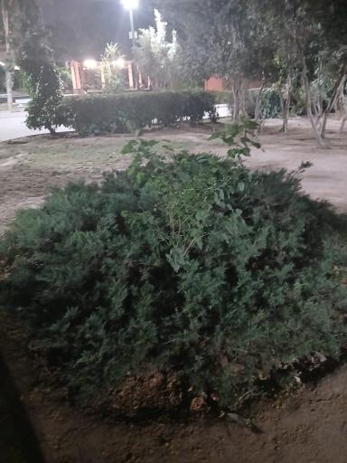عکس بوستان بهمن