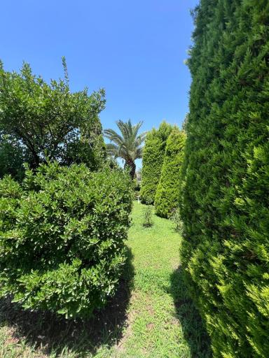 مجتمع توریستی تفریحی عباد