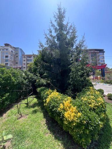 مجتمع توریستی تفریحی عباد