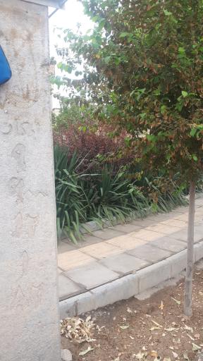 عکس بوستان زیبا