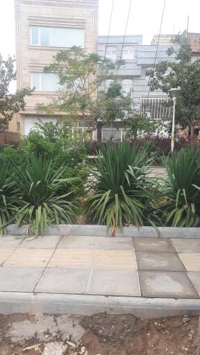 عکس بوستان زیبا