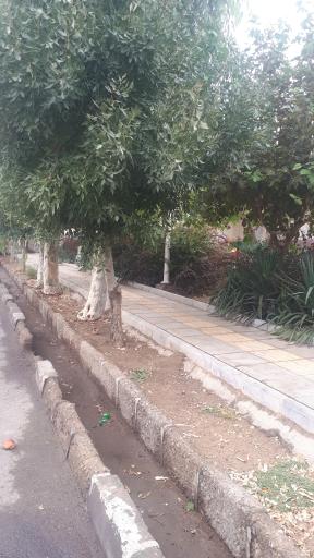 عکس بوستان زیبا