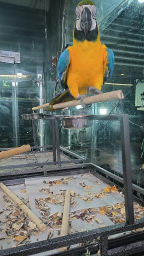 پرنده سرای نوید