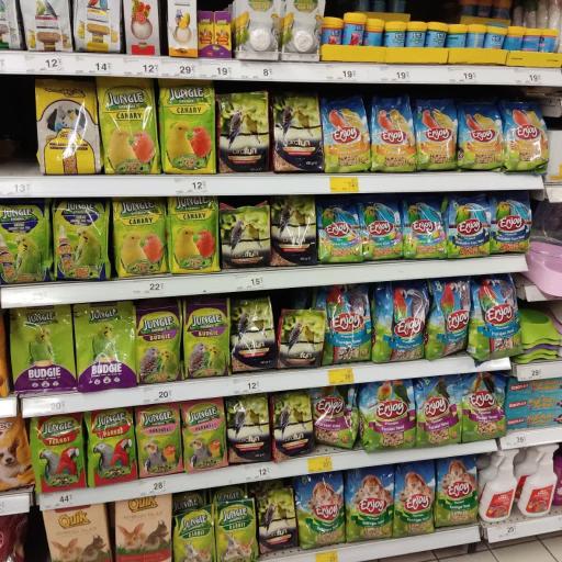 عکس پرنده سرای نوید