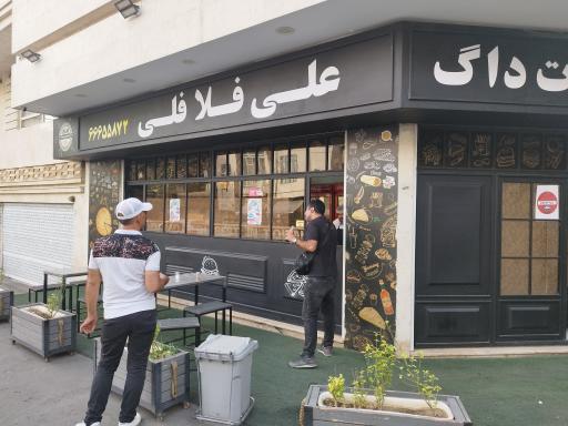 عکس علی فلافلی