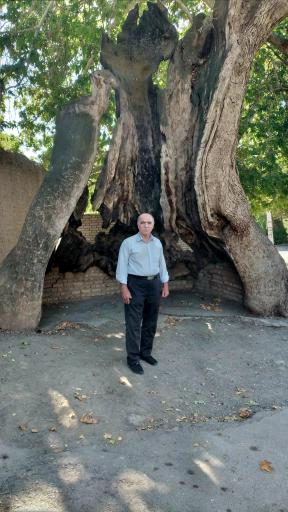 عکس چشمه پیرباغچه