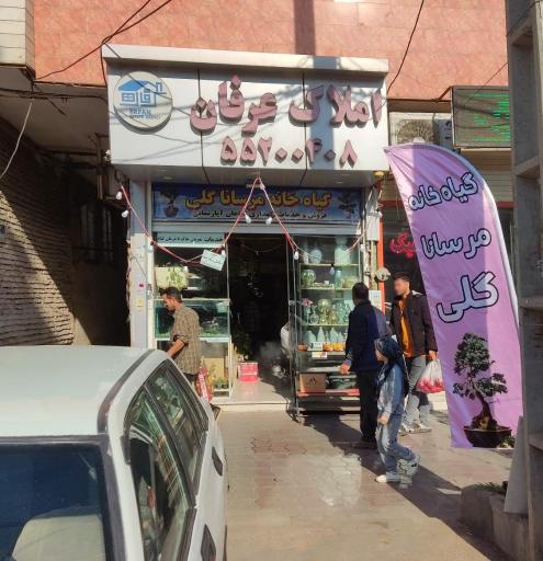 عکس گلفروشی مرسانا گلی