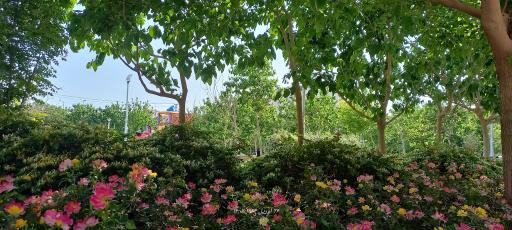 عکس بوستان فردوسی