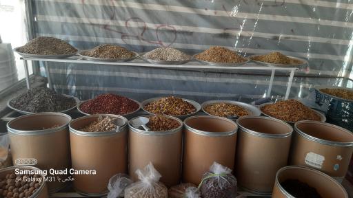 عکس دکه غلام کناری