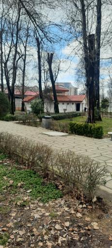 عکس نمازخانه بوستان ملت