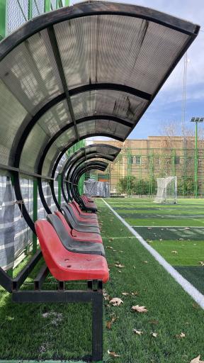 عکس چمن مصنوعی باغ غدیر