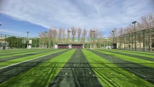 عکس چمن مصنوعی باغ غدیر