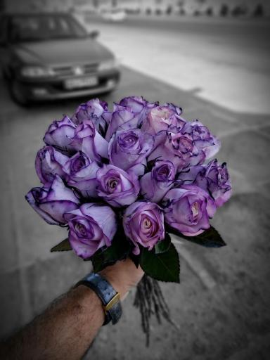 عکس گلفروشی مرسانا گلی