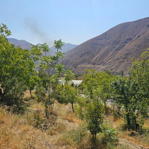 عکس اردوگاه سیدالشهداء (ع) بسیج دانشجویی