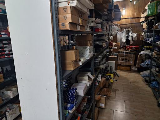 عکس ام جی گرگان