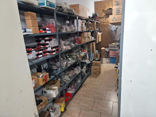 عکس ام جی گرگان