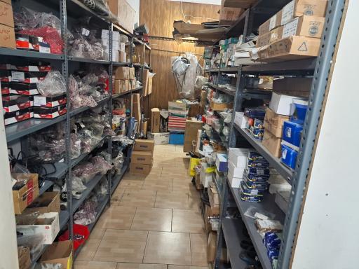 عکس ام جی گرگان