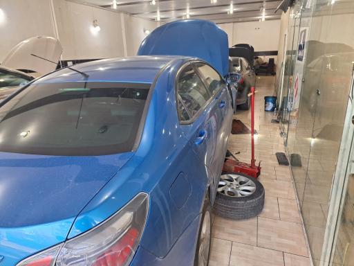 عکس ام جی گرگان