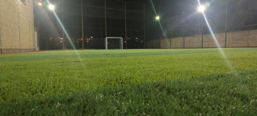 عکس چمن مصنوعی کانی