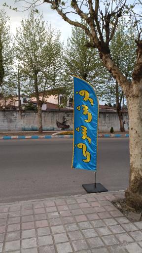 عکس فرش شرفی