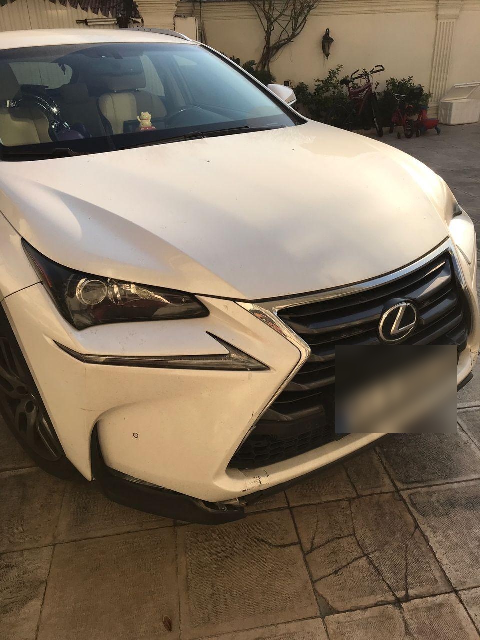 عکس صافکاری تخصصی pdr