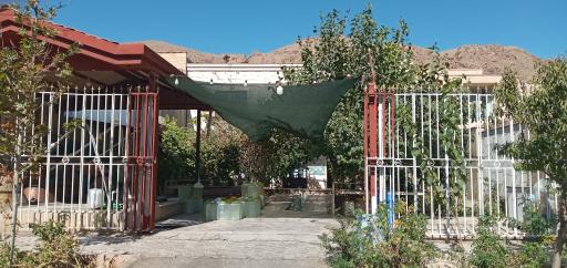 عکس ناب گلاب کعبه