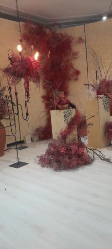 عکس استودیو عکس و فیلم فرشته