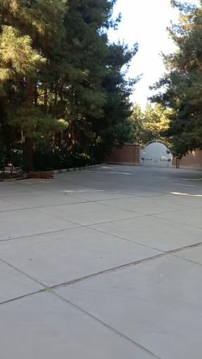 عکس خوابگاه خواهران معصومیه