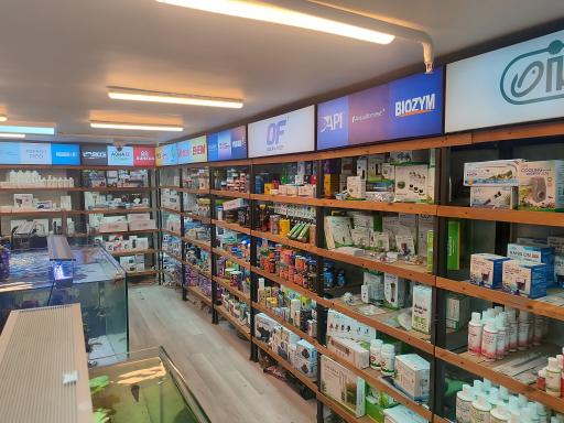 عکس آکواریوم سفیرآب