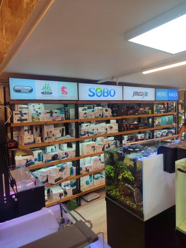 عکس آکواریوم سفیرآب