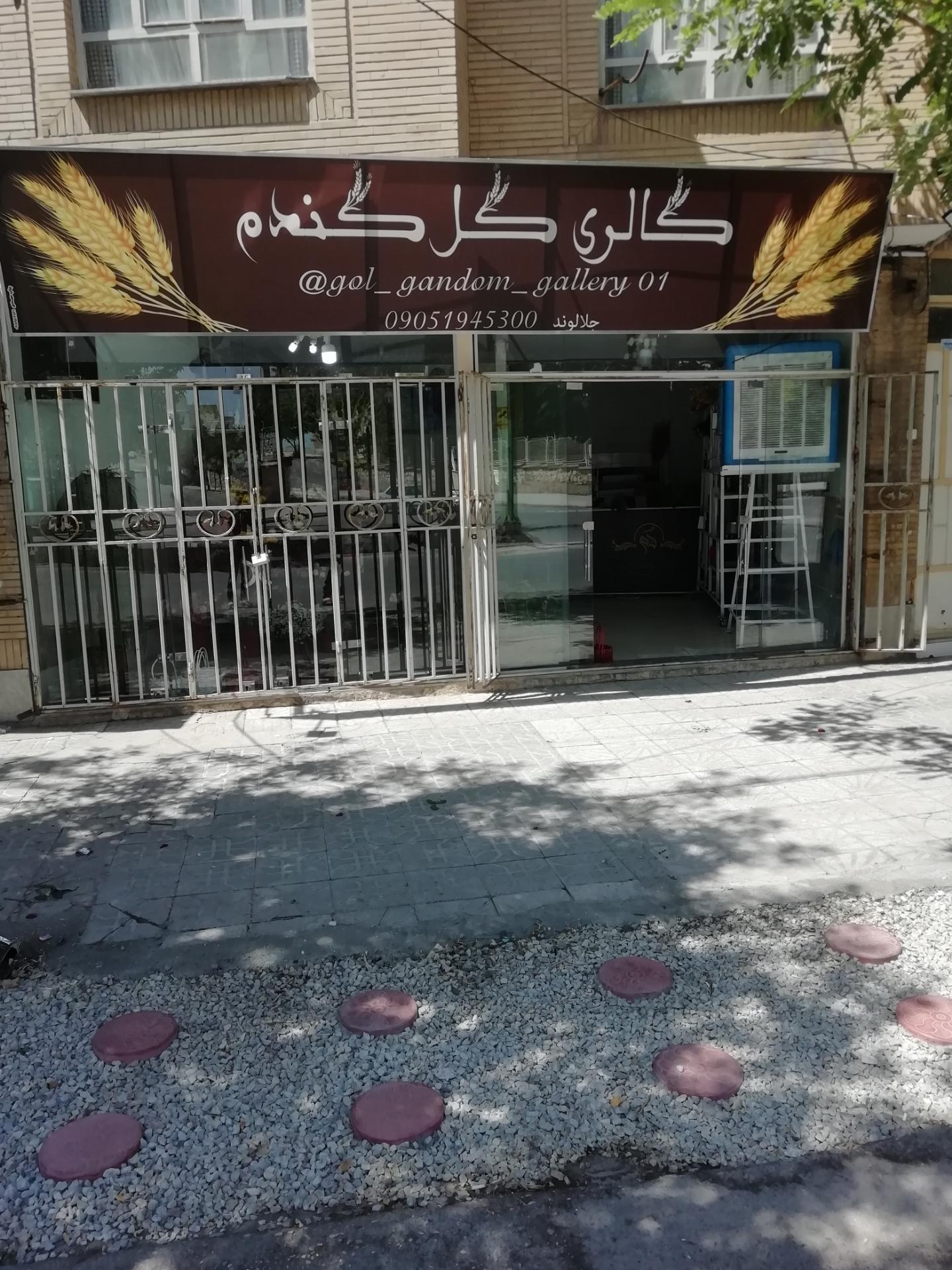 عکس گالری گل گندم