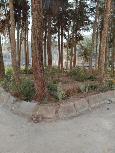 عکس پارک جنگلی کارگران
